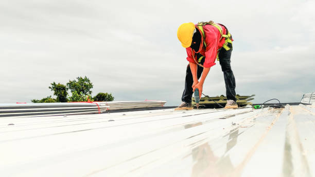 Best Chimney Flashing Repair  in Nashville, AR