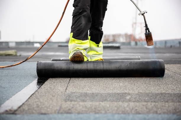 Best Roof Maintenance and Cleaning  in Nashville, AR