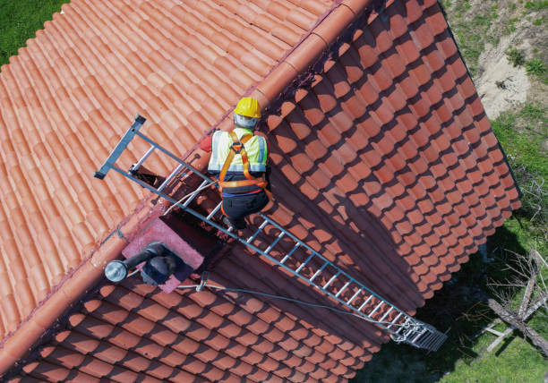 Best Roof Waterproofing  in Nashville, AR